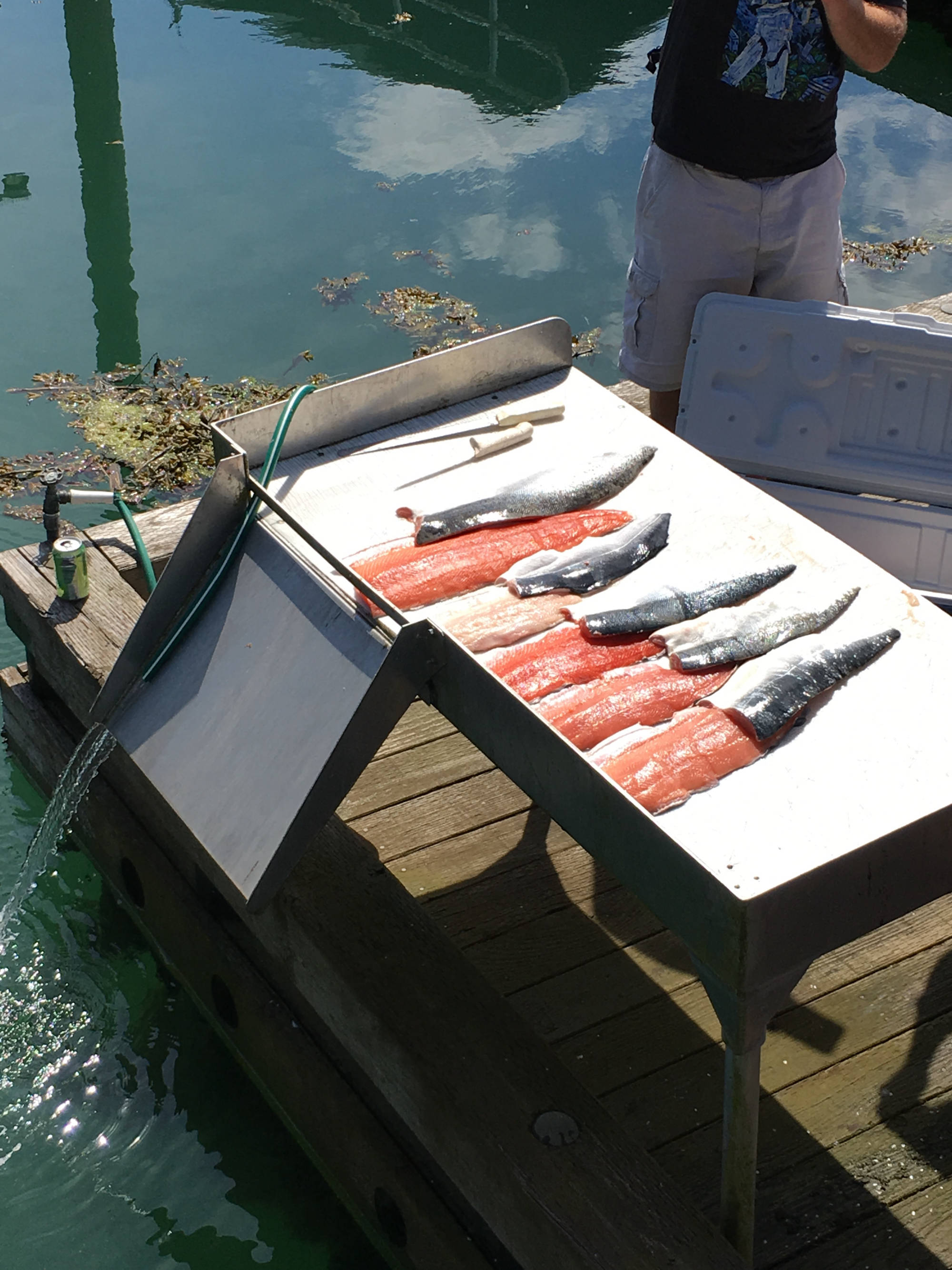 Photo of fileted salmon