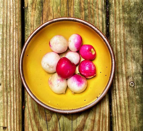 Photo of a bowl of radishes